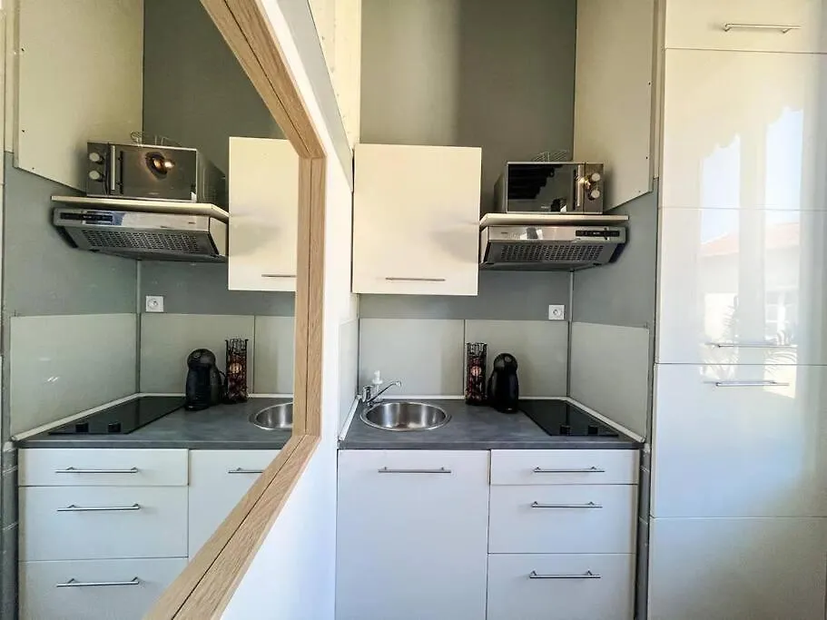 Apartment Suite Bertone Lyon