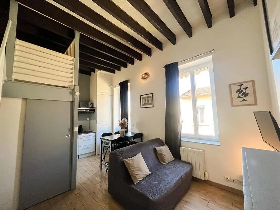Apartment Suite Bertone Lyon France